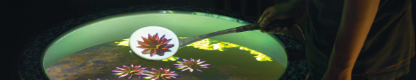 《鏡花水月 Illusory Reflections》2004